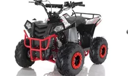 Квадроцикл ATV Commander Spark