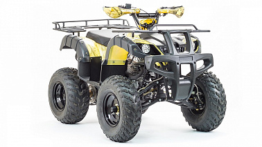 Квадроцикл MOTOLAND (МОТОЛЕНД) 250 ADVENTURE