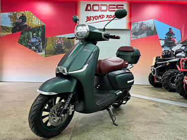 Скутер PROMAX Miami 240 (49)