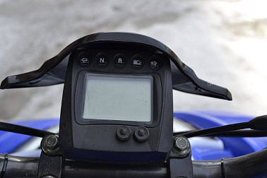 Квадроцикл MOTOLAND (МОТОЛЕНД) 250S