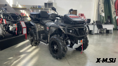 Квадроцикл AODES PATHCROSS MAX 800 XE PRO LCD