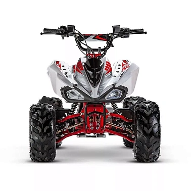 Квадроцикл ACCESS AMS 110 MINISPORT