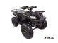Квадроцикл WELS THUNDER 200cc HS