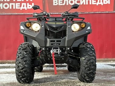 Квадроцикл STELS  ATV 650 YS EFI LEOPARD