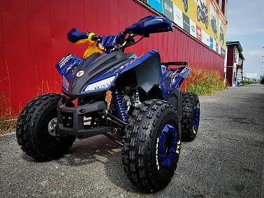 Квадроцикл MOTOLAND (МОТОЛЕНД) 125 COYOTE PRO