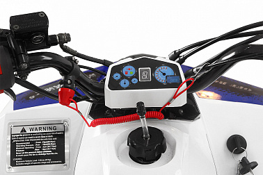 Квадроцикл Yacota Raposa 110