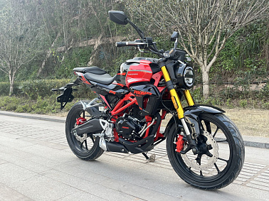 Мотоцикл PROMAX CB300 EFI