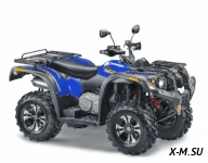 Квадроцикл STELS  ATV 650 YS EFI LEOPARD