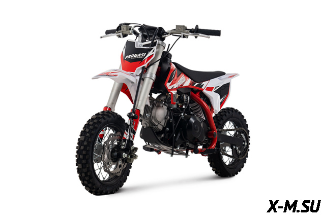 Питбайк Progasi KIDS POWER 110 (10/10)