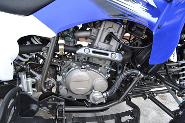 Квадроцикл MOTOLAND (МОТОЛЕНД) 250S