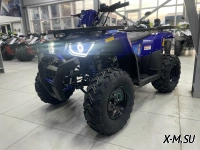 Квадроцикл PROMAX WILD 300