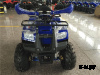 Квадроцикл ATV Atomik Sport