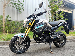 Надёжный и мощный мотоцикл для комфортных поездок по различным типам дорог — PROMAX MSX200 CROM