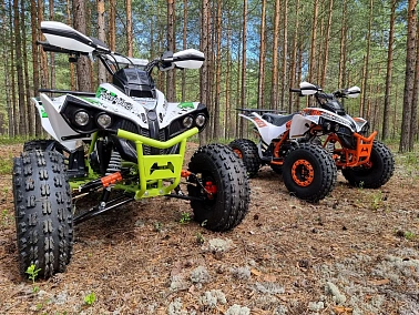 Квадроцикл PROMAX SCORPION 180
