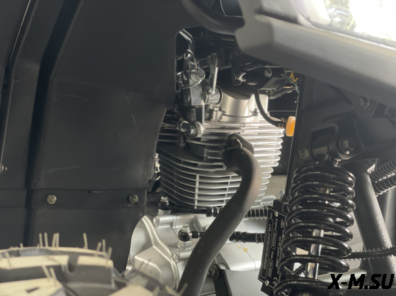 Квадроцикл PROMAX TAURUS 300