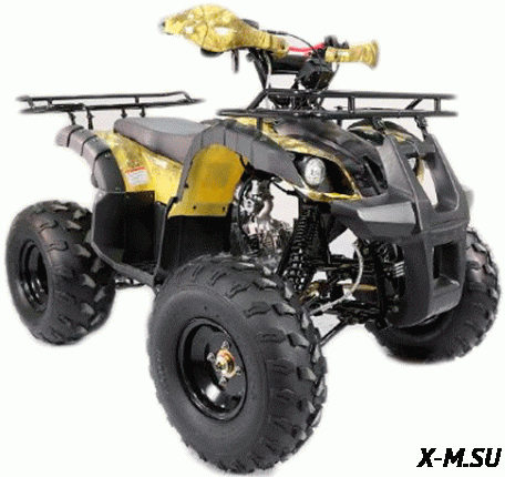 Квадроцикл MOTOLAND (МОТОЛЕНД) 125 FOX